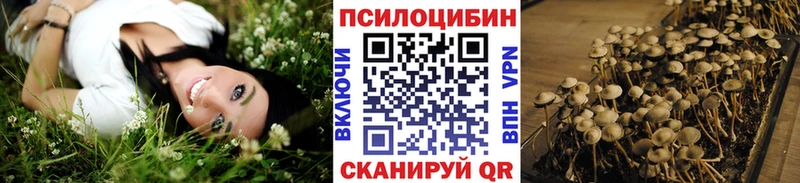 купить закладку  Усть-Катав  Псилоцибиновые грибы прущие грибы 